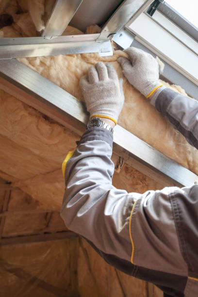 Best Professional Insulation Contractor  in Wildewood, MD