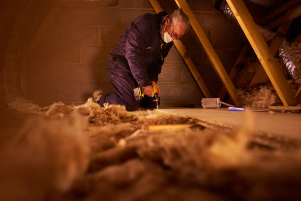 Best Home Insulation Services  in Wildewood, MD